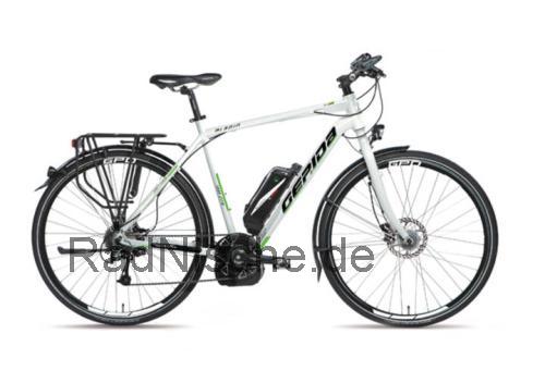 Gepida Alboin 1000 CRS  technische daten 